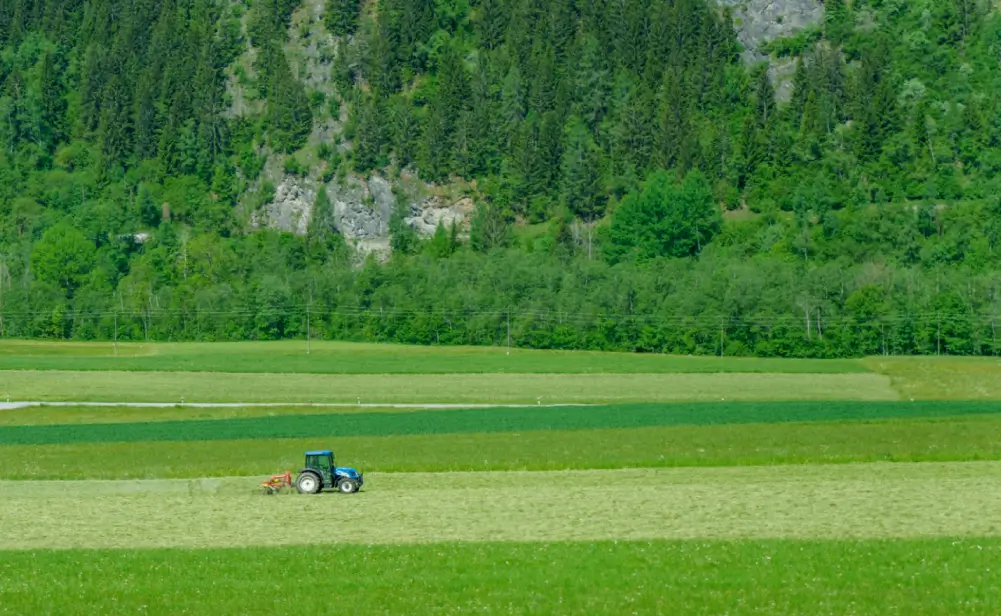 azienda-ortofrutticola-ticino-all'ingrosso